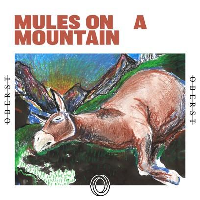 199326 oberst releases new track mules on a mountain feat maciek ofstad from kvelertak and announces
