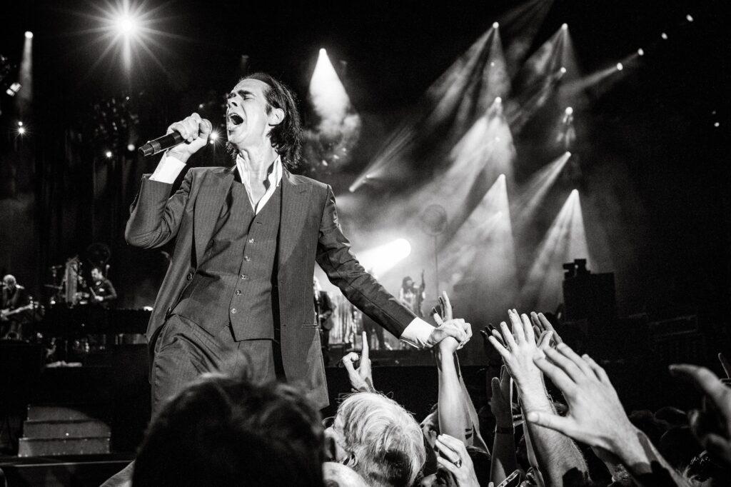 nick cave live megan cullen