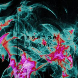 essence dormant single