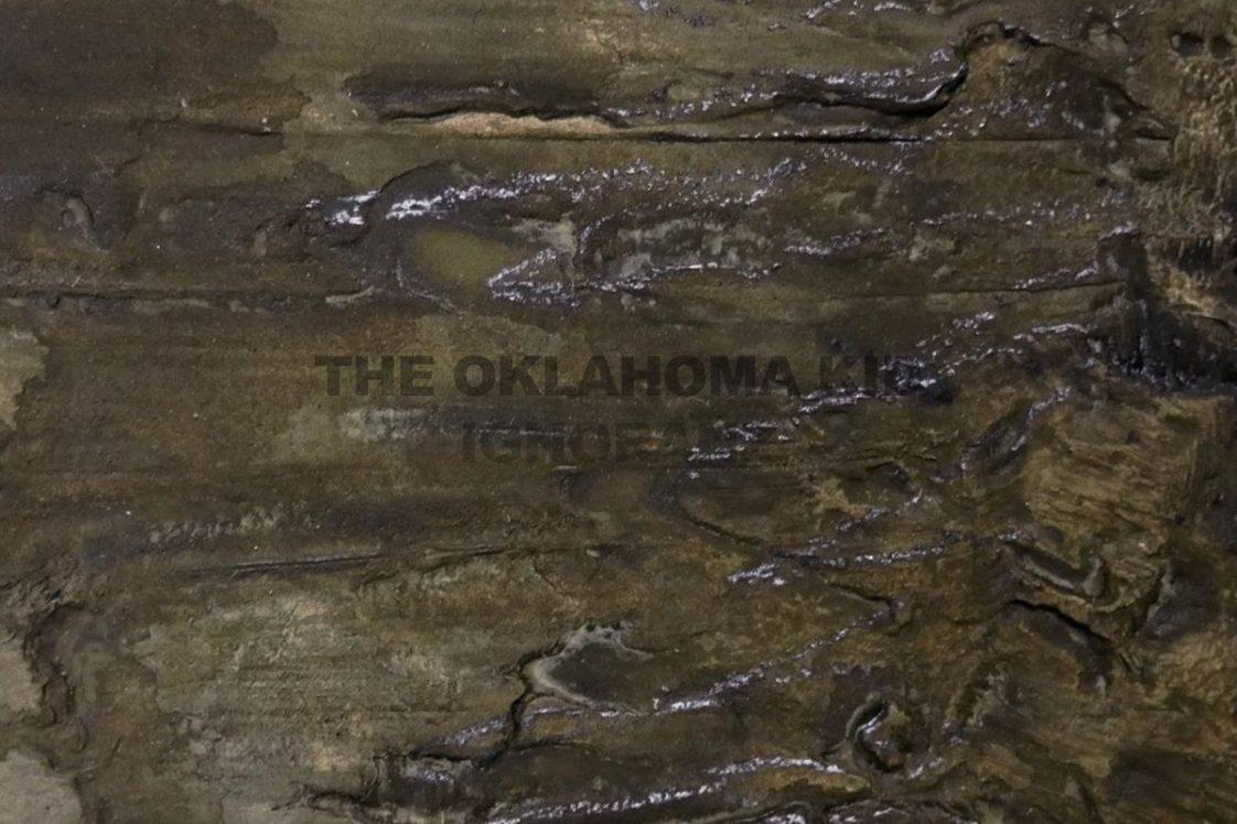 oklahomakid single ignoranz