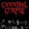 cannibal corpse the roundhouse 2024 6