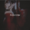 chrissy constanza perfect crime